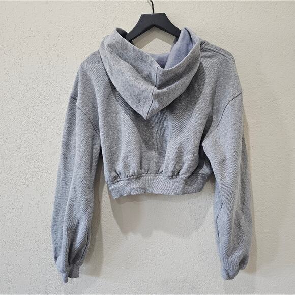 For Love And Lemons Gray Cropped Boxy Hoodie - Picture 10 of 11